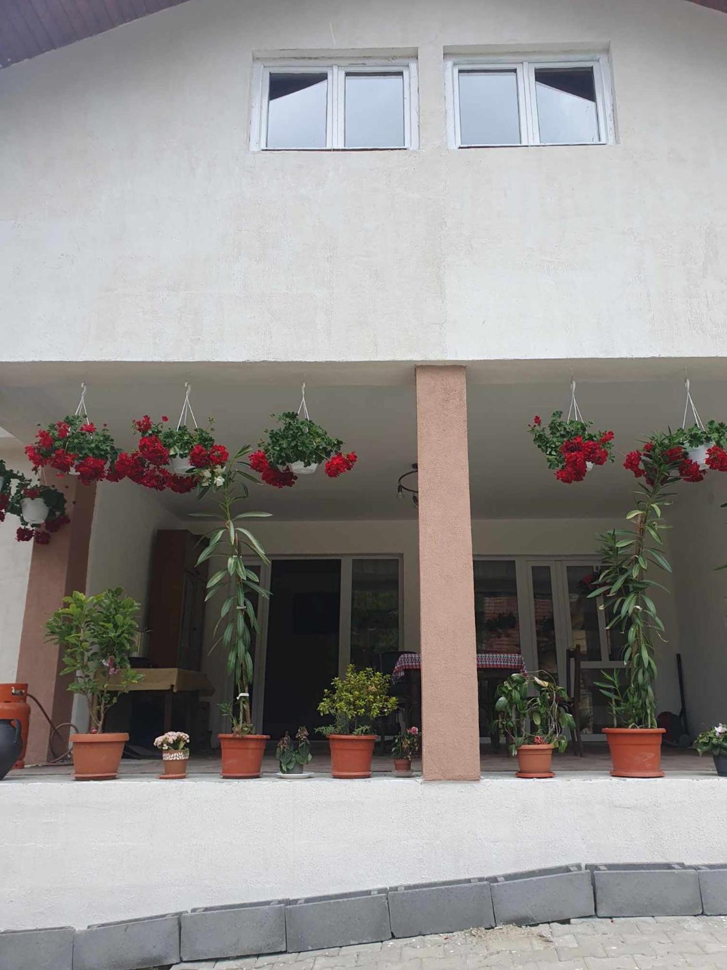 Casa Maksai Hotell Sovata Exteriör bild
