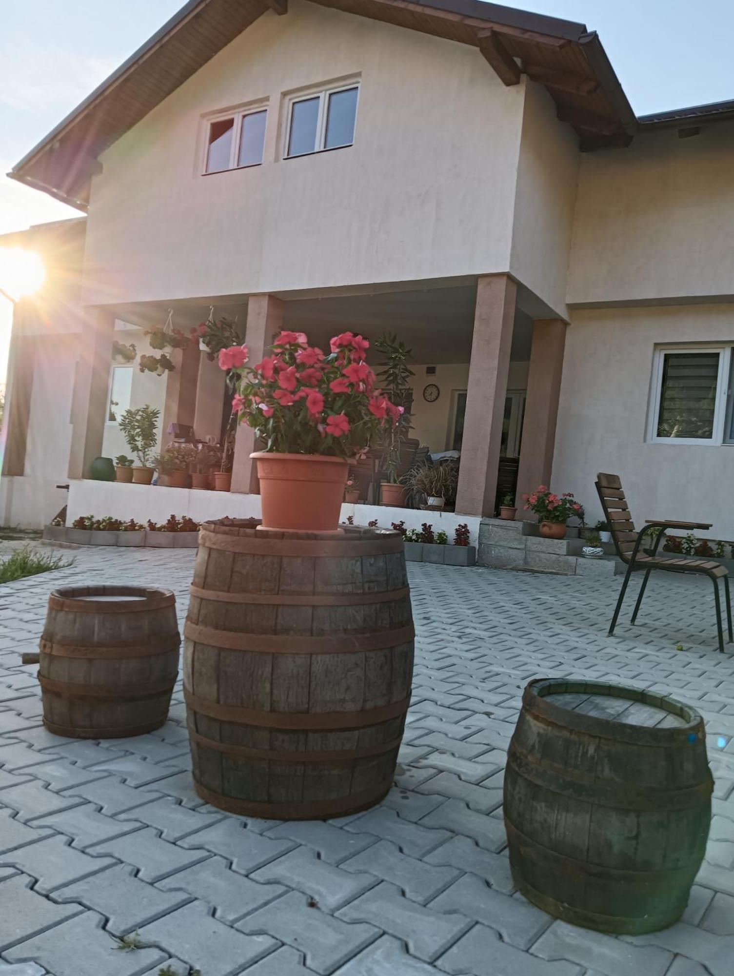 Casa Maksai Hotell Sovata Exteriör bild